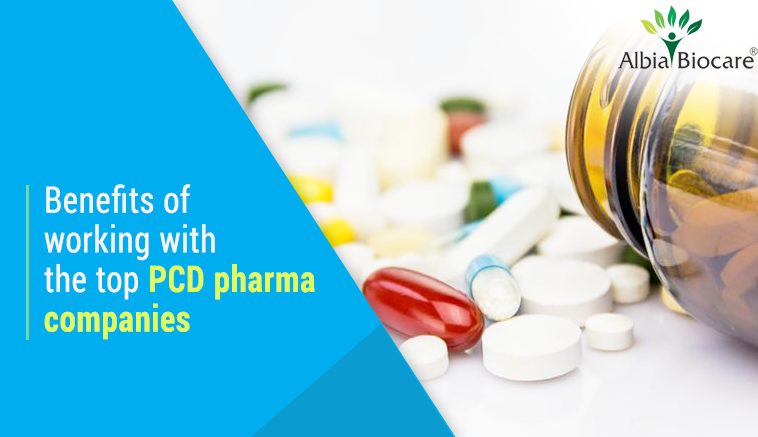 PCD pharma franchise companies