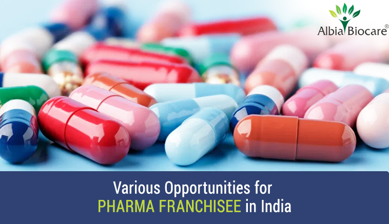 Various Opportunities for Pharma franchisee in India