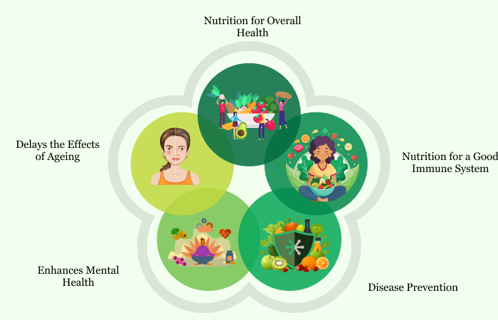 The Importance of Nutrition in Our Daily Life | Albia