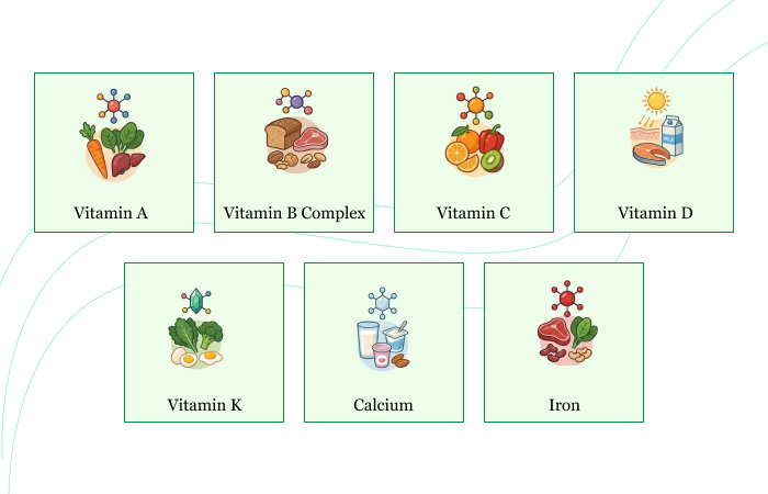 Key Vitamins and Minerals for a Healthy Body | Albia