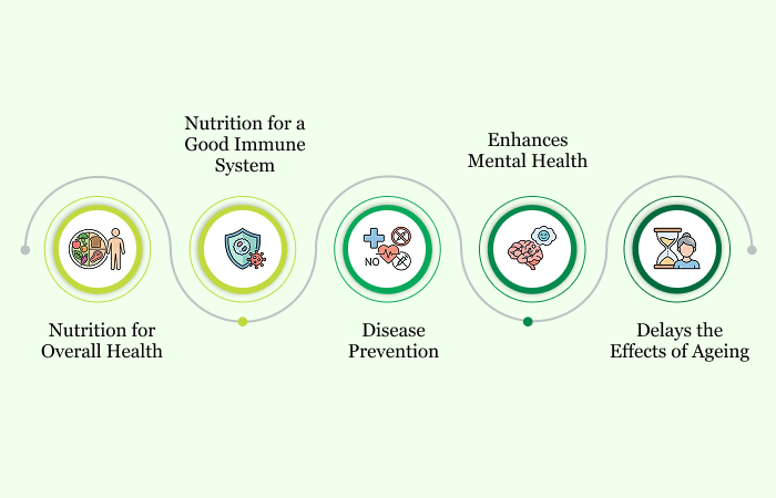 Nutrition Important in Our Daily Life | Albia Nutrition Important in Our Daily Life | Albia