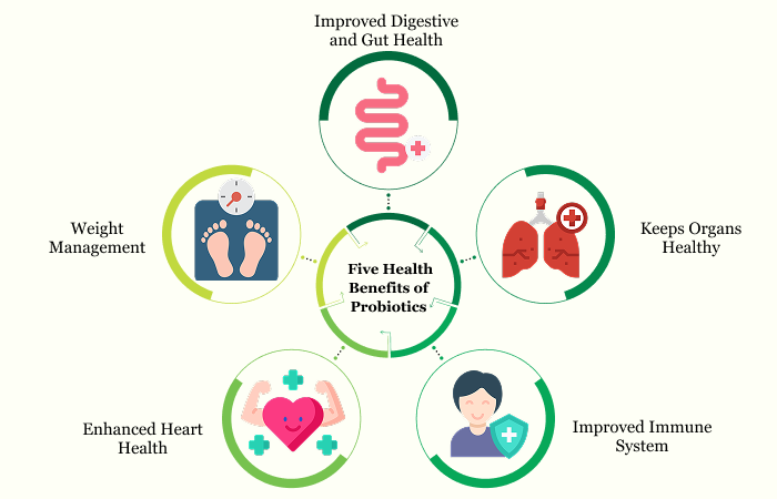 Health Benefits of Probiotics | Albia