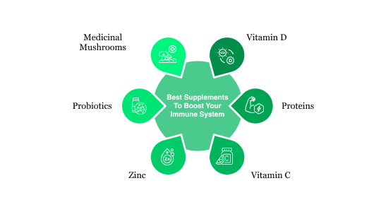 Supplements to Strengthen Your Immune System | Albia Supplements to Strengthen Your Immune System | Albia