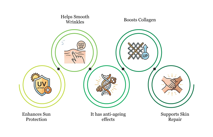 Benefits of Vitamin C for Skin